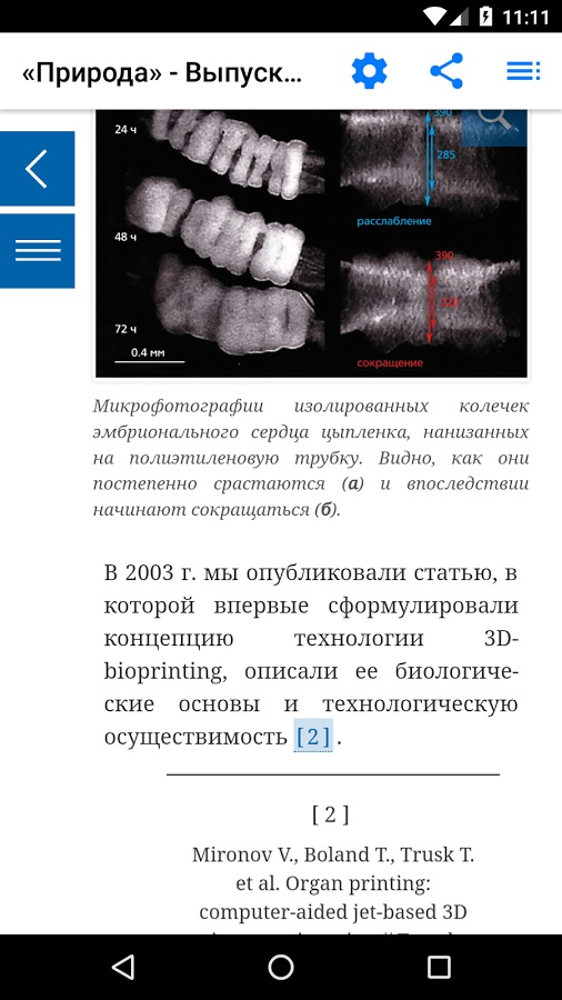 ������������� ������� ������ ������������ �����