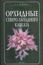 Орхидные Северо-Западного Кавказа